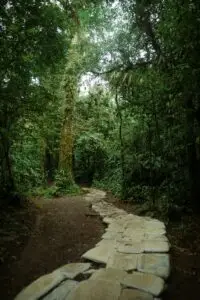 grounding