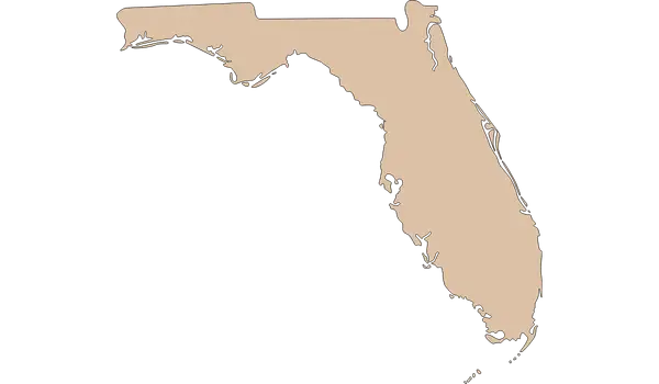 Florida outline representing online therapy services