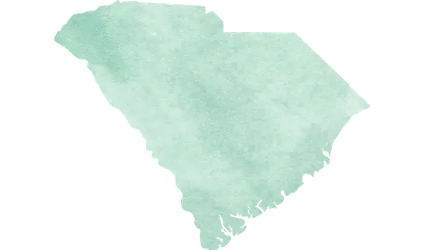 South Carolnina outline representing online counseling services