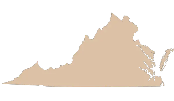 Virginia outline representing virtual therapy services